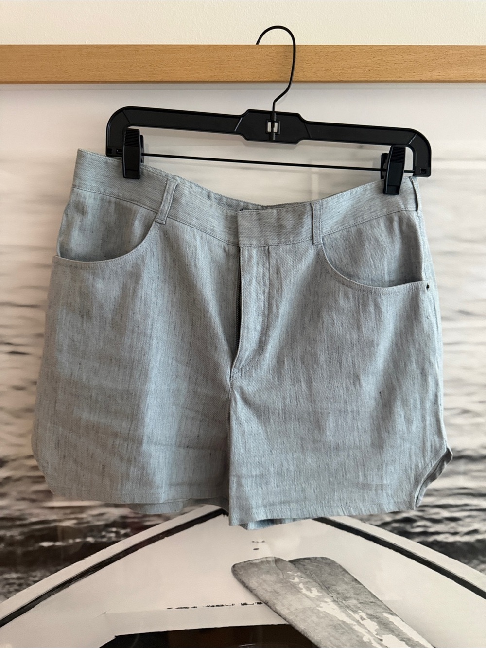 Theyskens Theory Shorts